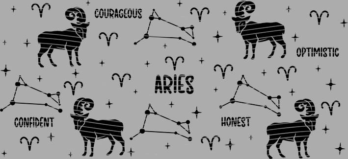 16oz Constellation-CI-269